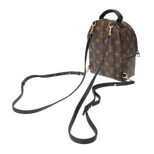 Louis Vuitton Springs Daypack Palm Canvas Backpack Brown Monogram